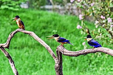 招聘信息显示《对马岛之鬼2》很可能已启动开发