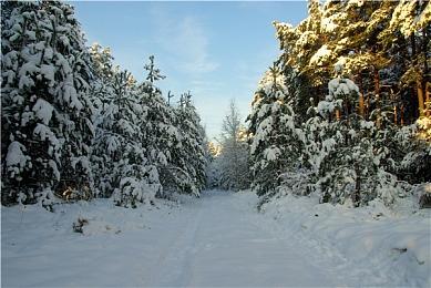 《艾尔登法环》感谢玩家支持 承诺更多更新正在进行中